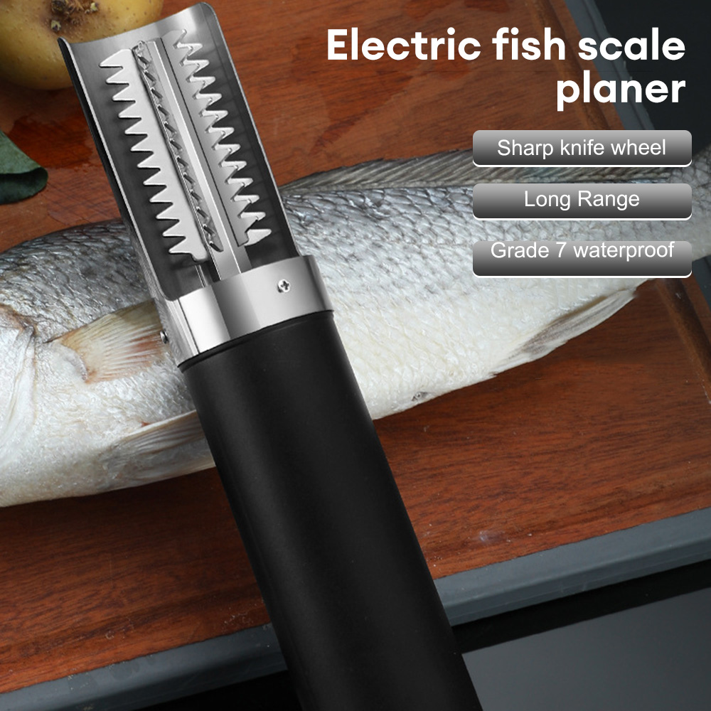 Buy Fish Scale Remover, Fish Scales Scraper with 304 Stainless